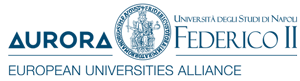 Logo Aurora Admin Fed II