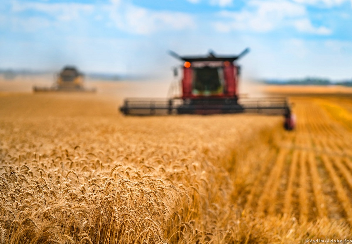 Conclusa con successo la CIRAGRO Summer School 2025: Economia Circolare e Sostenibilità nel Settore Agroindustriale